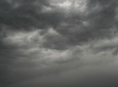 Chuvas frequentes e com alta intensidade atingem os pastos do Centro-Norte do Brasil