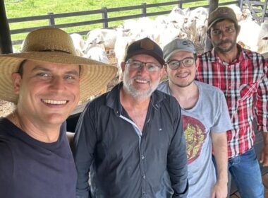 GMD de 1,8 kg na TIP? Pecuarista de Rondônia prova que sim! Saiba como ele fez isso