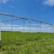 Irrigação de pastagem: descubra as principais tecnologias para a fazenda
