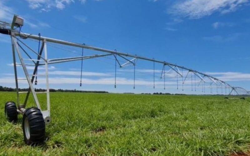 Irrigação de pastagem: descubra as principais tecnologias para a fazenda