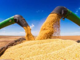 Aumento da demanda chinesa pela soja brasileira garante oportunidades de crescimento e segurança no mercado agrícola 18 aumento da demanda chinesa pela soja brasileira garante oportunidades de