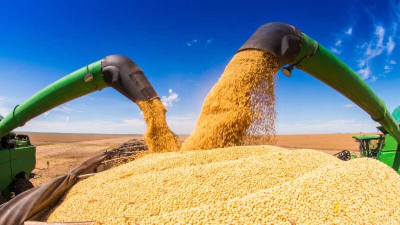 aumento da demanda chinesa pela soja brasileira garante oportunidades de