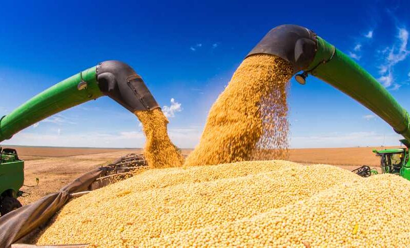 aumento da demanda chinesa pela soja brasileira garante oportunidades de