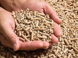 aumento na producao de racoes no brasil crescimento de 27