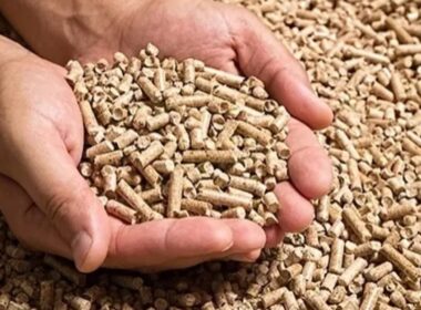 aumento na producao de racoes no brasil crescimento de 27