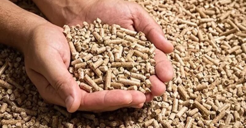 aumento na producao de racoes no brasil crescimento de 27