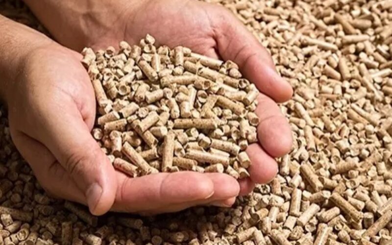 aumento na producao de racoes no brasil crescimento de 27