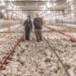 Aurora Coop destina R$ 1,4 bilhão para elevar o bem-estar animal e aprimorar a qualidade na produção.