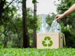 Avanço da reciclagem indica futuro melhor para o meio ambiente.