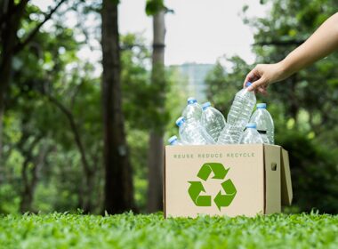 Avanço da reciclagem indica futuro melhor para o meio ambiente.