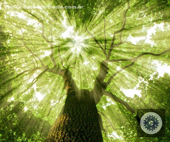 avantium fecha acordos incriveis com ambev e lvmh o