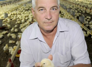 avicultor paulista retoma poder de compra em julho veja como