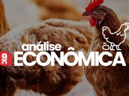 Avicultura em Foco: Alta dos Preços do Frango e Recorde de Exportação de Ovos enquanto Custos de Produção Desafiam Produtores 13 avicultura em foco alta dos precos do frango e recorde