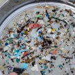bacterias e fungos na decomposicao do plastico uso de materiais.webp