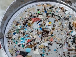 bacterias e fungos na decomposicao do plastico uso de materiais.webp