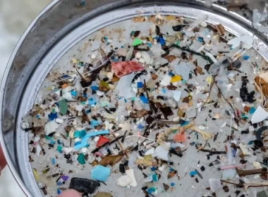 bacterias e fungos na decomposicao do plastico uso de materiais.webp