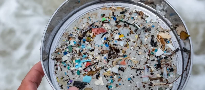bacterias e fungos na decomposicao do plastico uso de materiais.webp