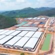 BAF Vietnam lança projeto de alto padrão para produzir 2,1 milhões de suínos, garantindo eficiência e sustentabilidade.