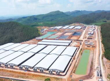 BAF Vietnam lança projeto de alto padrão para produzir 2,1 milhões de suínos, garantindo eficiência e sustentabilidade.