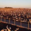 Bahia se destaca no abate de bovinos em 2024, trazendo eficiência e crescimento para o mercado da carne