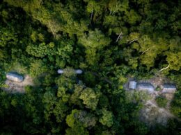 Bancos investem US$ 2,6 bi em bioeconomia e florestas no Brasil, visando desenvolvimento sustentável. 9 Bancos investem US$ 2,6 bi em bioeconomia e florestas no Brasil, visando desenvolvimento sustentável.