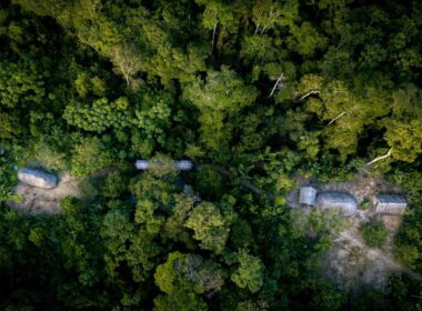 Bancos investem US$ 2,6 bi em bioeconomia e florestas no Brasil, visando desenvolvimento sustentável.