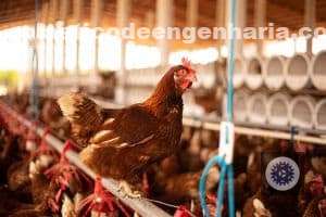bem estar animal no agro como a excelencia na pratica eleva