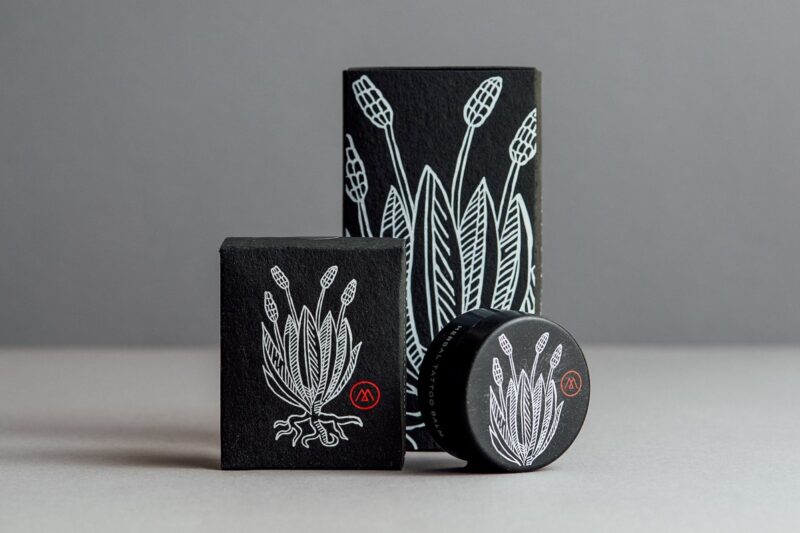 bioplasticos em cosmeticos de luxo sustentabilidade e elegancia se unem.jpgmaxwidth1200