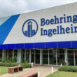 boehringer ingelheim impulsiona saude animal com crescimento robusto e solucoes