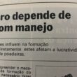 Bom manejo aumenta o lucro no campo com produtividade maior e custos menores