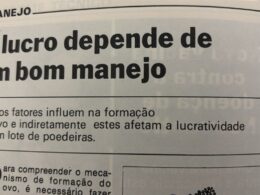 Bom manejo aumenta o lucro no campo com produtividade maior e custos menores