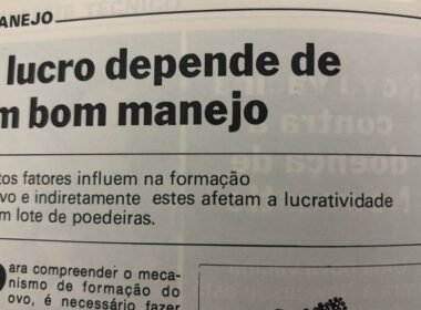 Bom manejo aumenta o lucro no campo com produtividade maior e custos menores