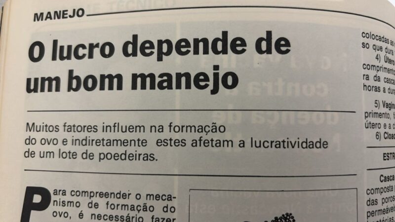 Bom manejo aumenta o lucro no campo com produtividade maior e custos menores