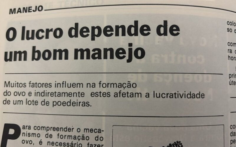 Bom manejo aumenta o lucro no campo com produtividade maior e custos menores