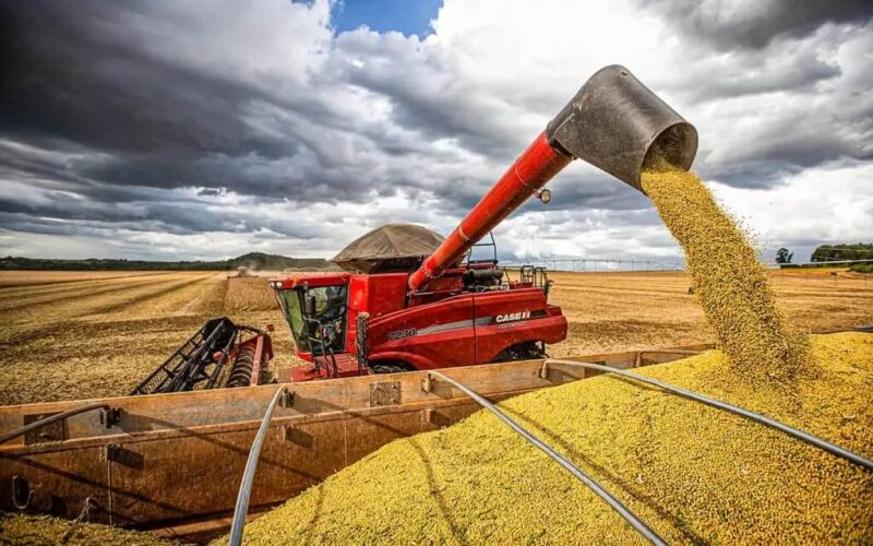 boom da soja em fevereiro como a alta no mercado