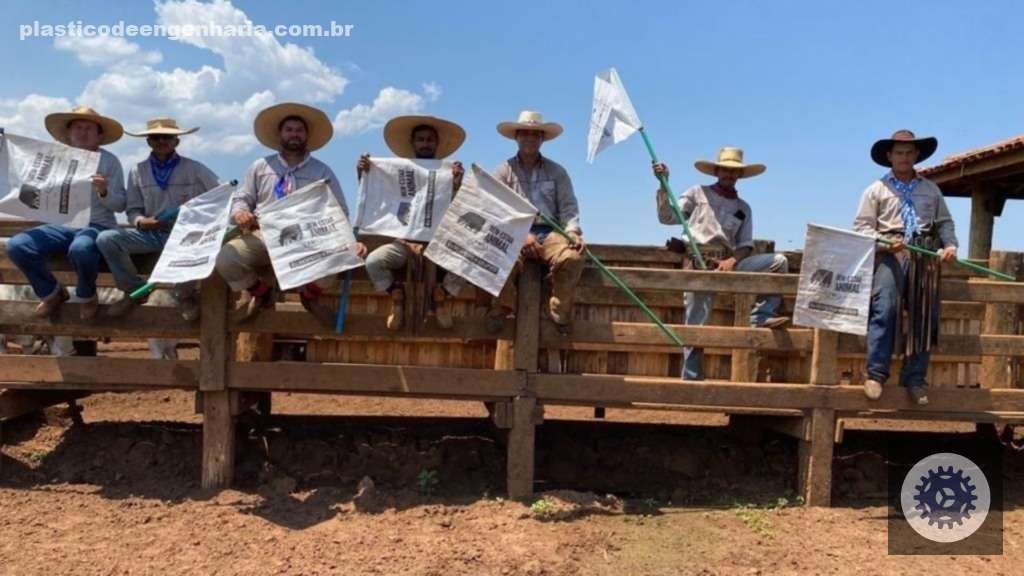 Cobea transforma a pecuária brasileira com foco no bem-estar animal e sustentabilidade, elevando padrões da indústria 2 bovinos bem estar animal BEA 21.04.2025 1