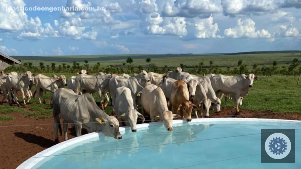 Maximize o ganho de peso na recria de bovinos com a escolha certa da porcentagem de proteína na ração 6 bovinos bem estar animal BEA 21.04.2025 8