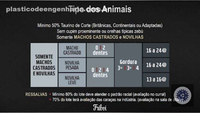 Novilhada premium com RIP e confinamento top garante acabamento superior e rentabilidade no mercado de MT 4 bovinos protocolo 1953 28.09.2022 7