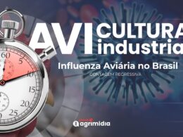 Brasil a caminho da certificação de liberdade da Influenza Aviária em 25 dias e suas implicações para o agronegócio.