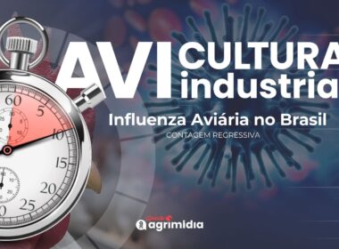 Brasil a caminho da certificação de liberdade da Influenza Aviária em 25 dias e suas implicações para o agronegócio.