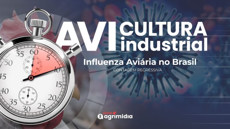 Brasil a caminho da certificação de liberdade da Influenza Aviária em 25 dias e suas implicações para o agronegócio.