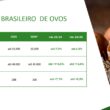 Brasil avança na proteína animal e projeta recordes com ganhos para exportações, emprego e renda
