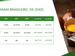 Brasil avança na proteína animal e projeta recordes com ganhos para exportações, emprego e renda