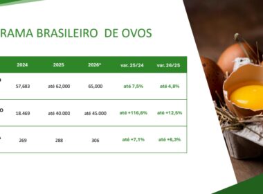 Brasil avança na proteína animal e projeta recordes com ganhos para exportações, emprego e renda