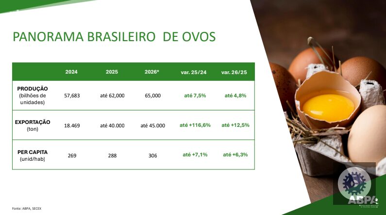Brasil avança na proteína animal e projeta recordes com ganhos para exportações, emprego e renda