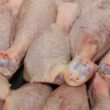 Brasil fortalece mercado externo com a reabertura da Jordânia e Kuwait para exportação de frango, impulsionando as vendas.