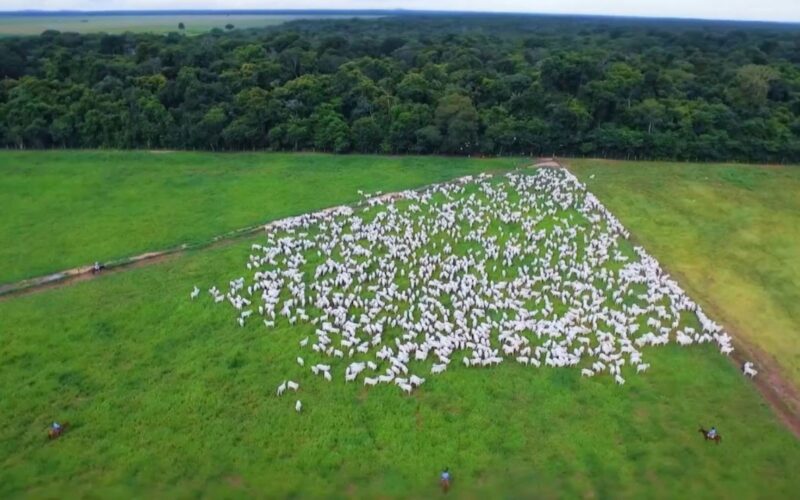 Brasil se destaca como líder global na produção de carne, impulsionando economia e sustentabilidade até 2027