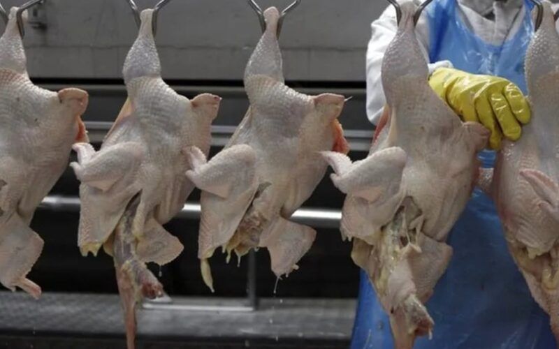 brasil suspende exportacao de carne de aves para china entenda