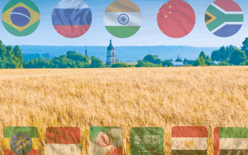 BRICS implementa plano de troca de grãos para aumentar a segurança alimentar e fortalecer a economia global.