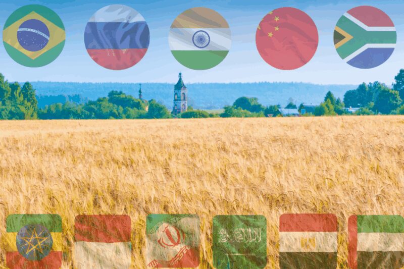 BRICS implementa plano de troca de grãos para aumentar a segurança alimentar e fortalecer a economia global.